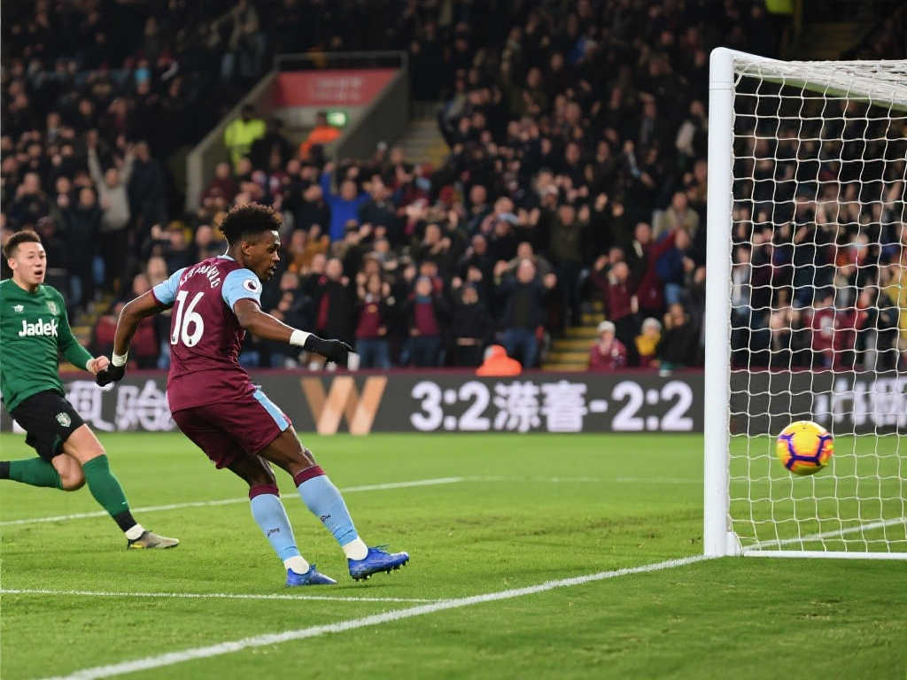 通过合理的 通过合理的