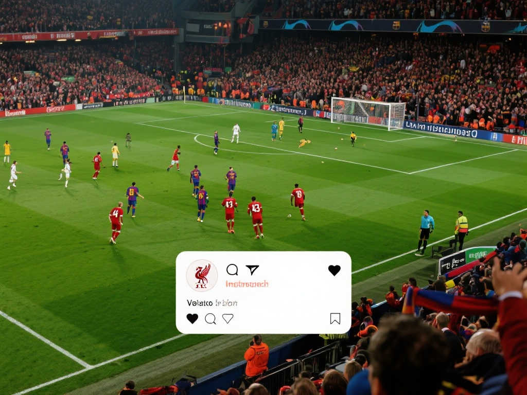 的即將關閉 的即將關閉