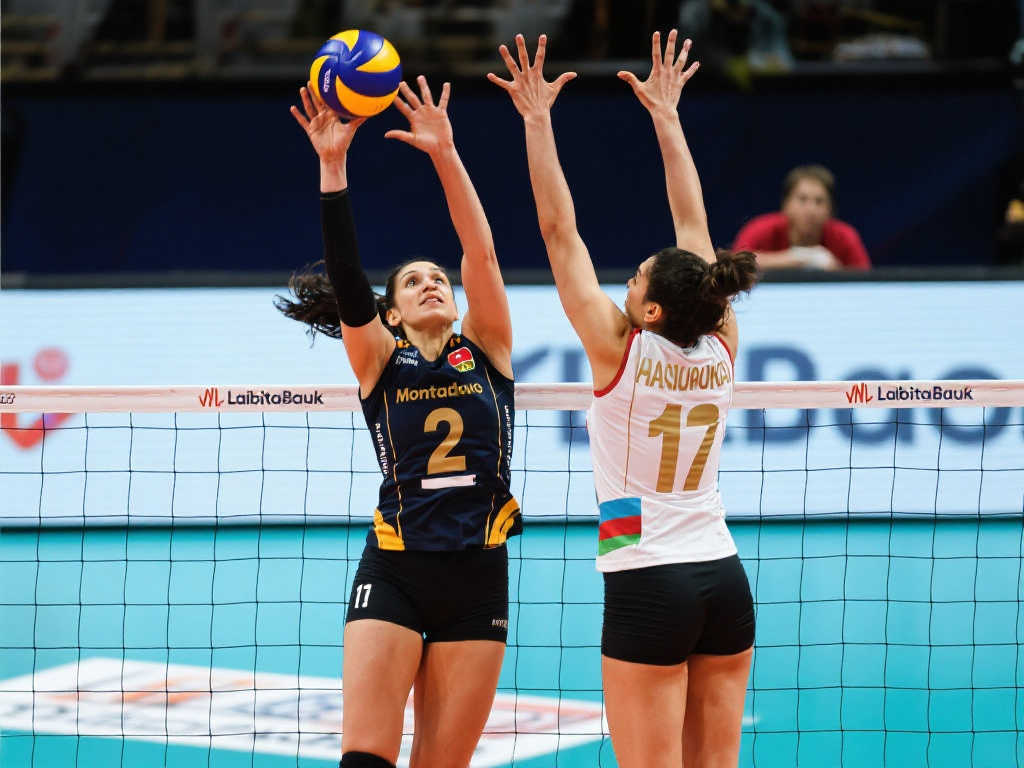 的国际赛事 的国际赛事