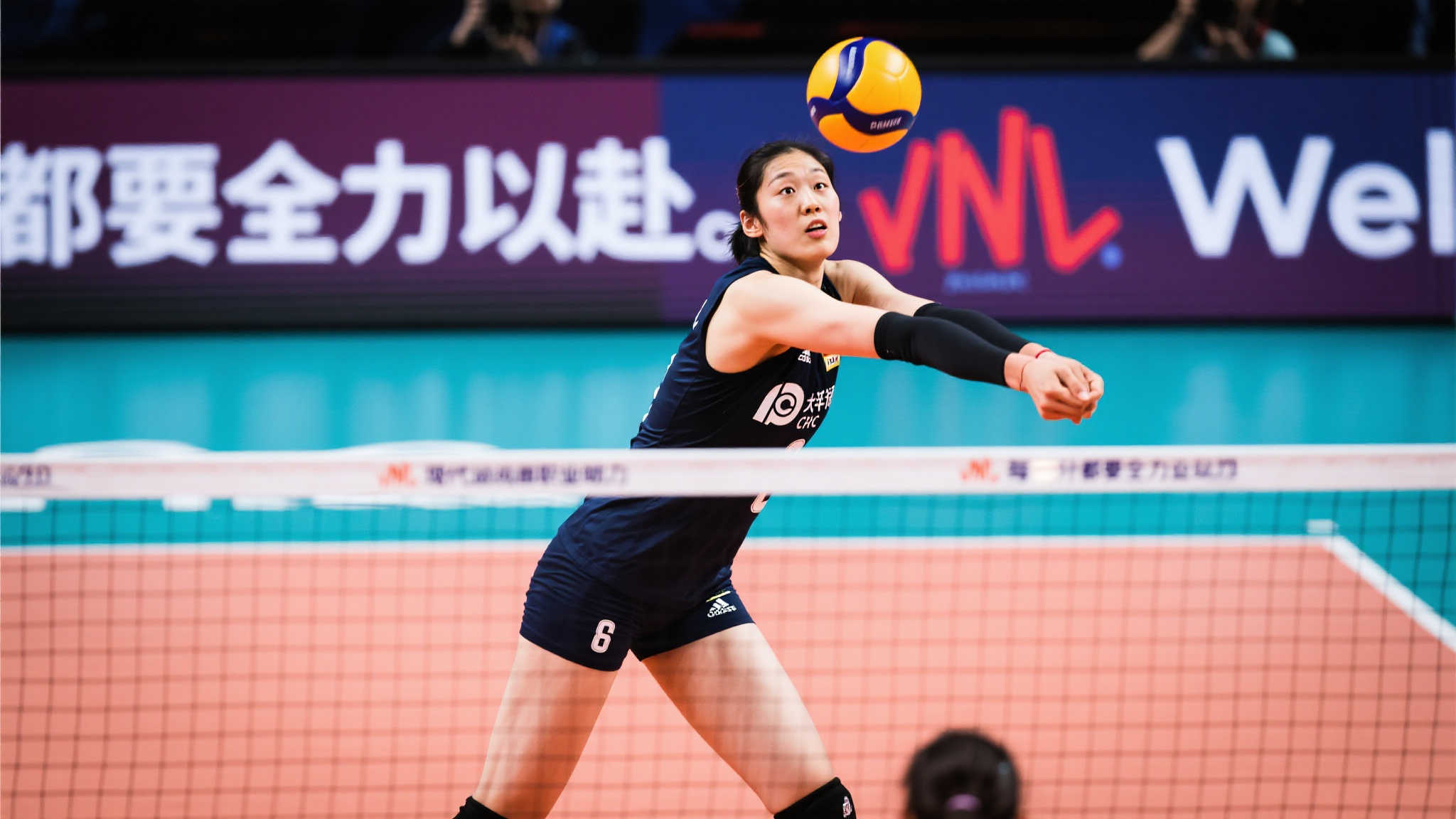 近年陣容更 近年陣容更